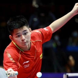 在击剑这项 在击剑这项